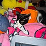 cat, black_and_white_cat, orange_sweater, pink_blanket, plush_toy, pikachu, laptop, screen, bed, cozy, indoor, pet, sleeping, soft, stuffed_animal, clutter, closeup, home, blanket_pattern, resting