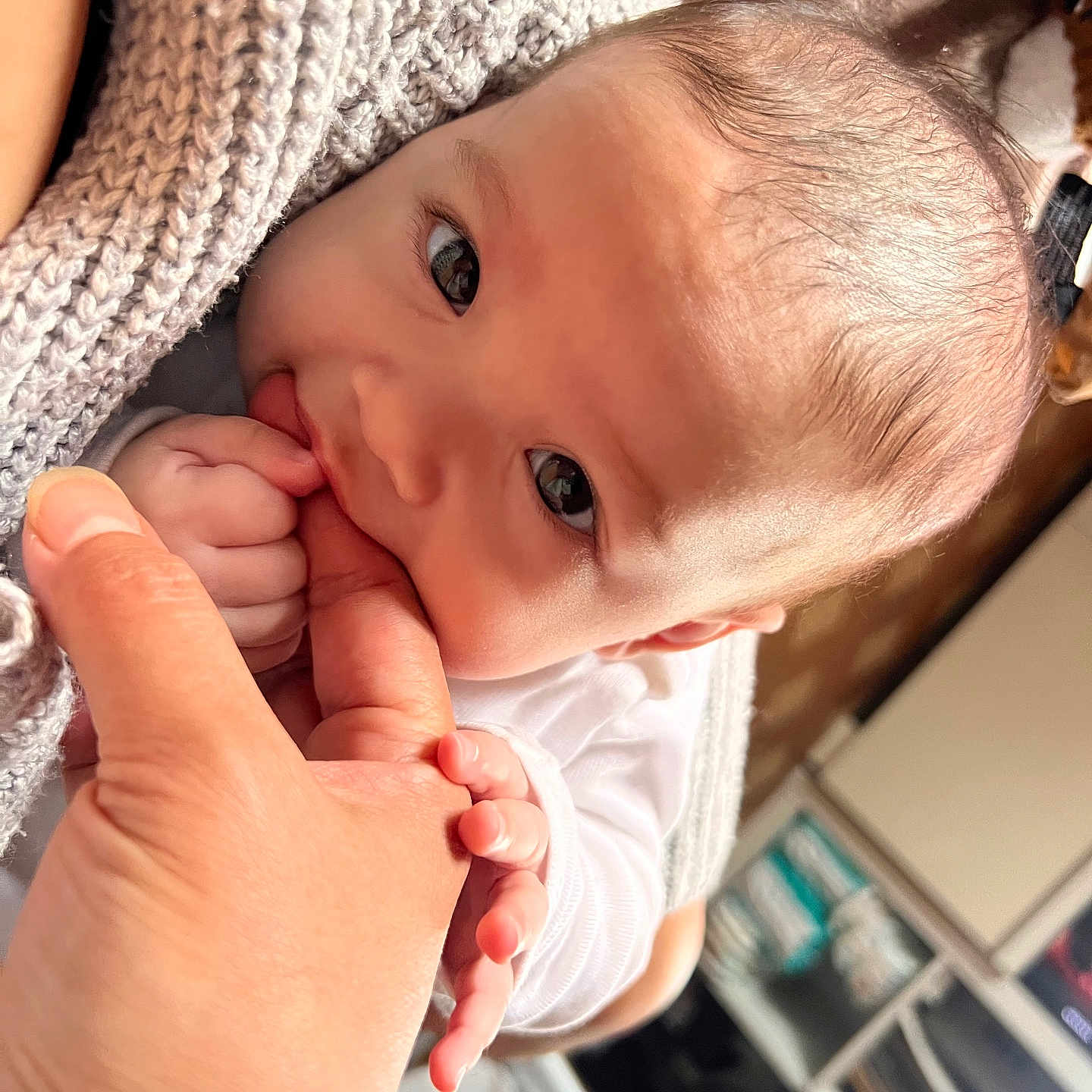 Ellana participe au concours pour gagner de l'argent avec cette photo : baby, blanket, child, closeup, comfort, cozy, cute, expression, face, finger, hand, holding, home, indoor, infant, nibble, person, skin, soft, young
