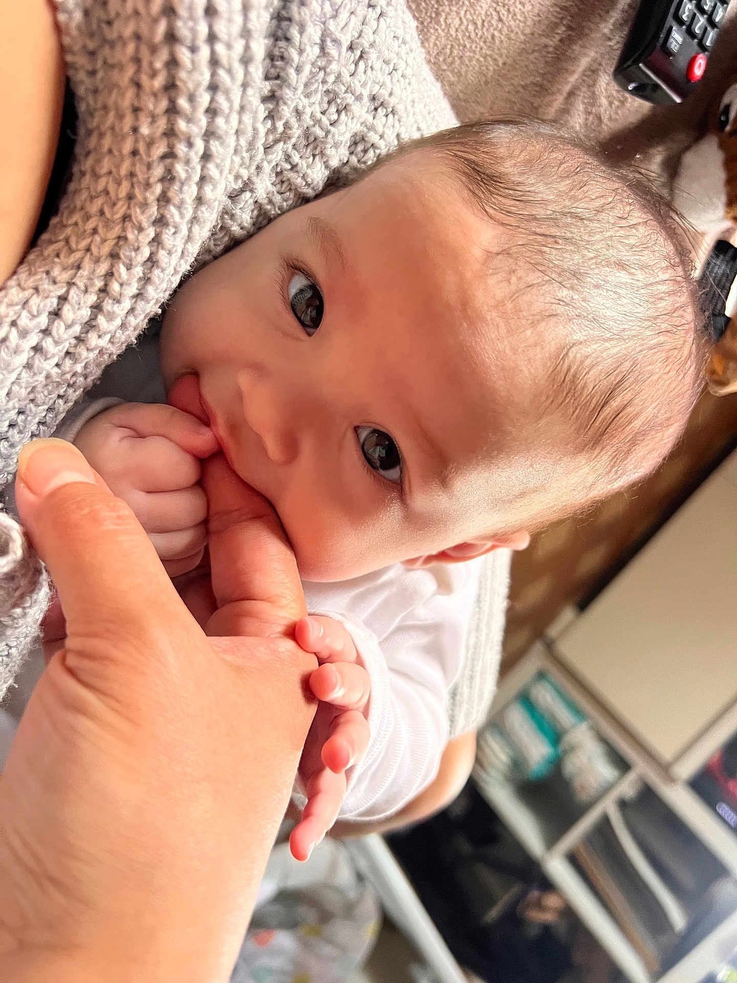 Ellana participe au concours pour gagner de l'argent avec cette photo : baby, infant, hand, finger, blanket, cozy, closeup, face, skin, expression, cute, child, person, home, indoor, nibble, holding, soft, young, comfort