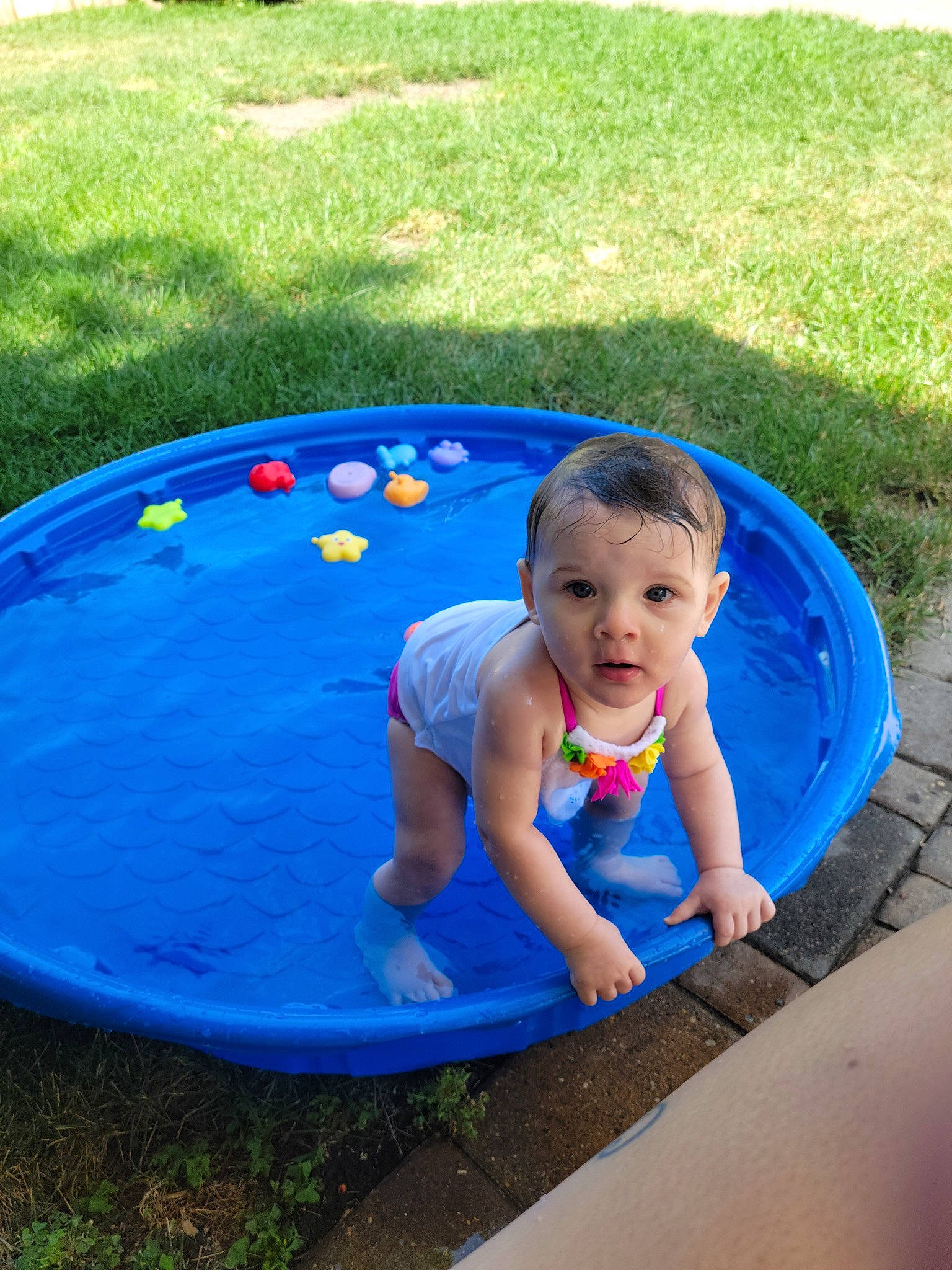 Alivia is registered to the contest to win money with this photo: baby, baby_products, baby_toddler_clothing, blue, child, circle, electric_blue, flooring, fun, garden, grass, leisure, person, plant, play, recreation, t_shirt, toddler, toy, vacation
