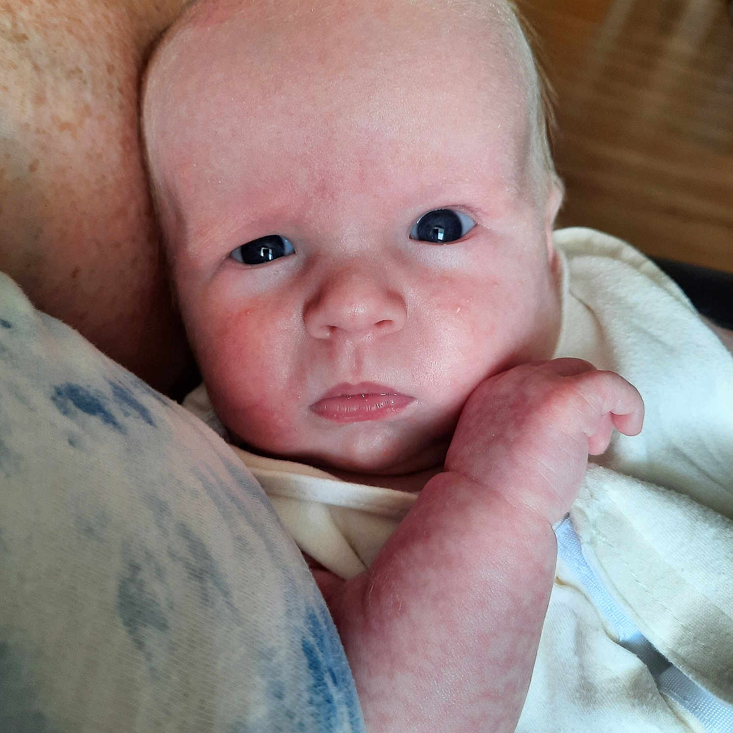 Brady is registered to the contest to win money with this photo: baby, blanket, bodypart, face, finger, hand, hardwood, head, newborn, person, photography, portrait, skin, wood