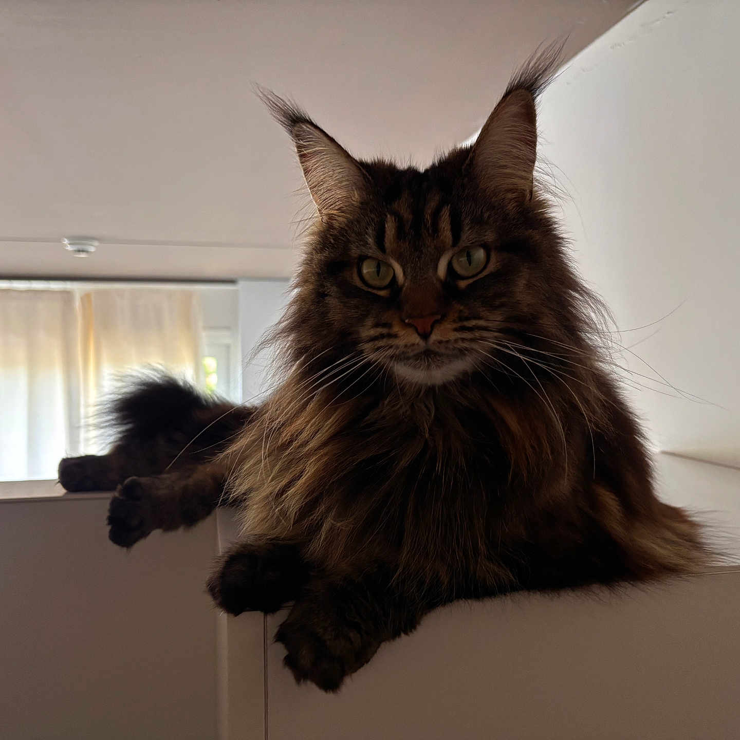 Luna