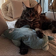 Luna a rejoint le concours — aidez-le/la à gagner de superbes lots ! cat, tabby_cat, stuffed_toy, blanket, cushion, chair, indoor, cozy, pet, feline, soft_toy, curtain, window, relaxing, home_decor, plush, resting, mammal, fur, pet_toy