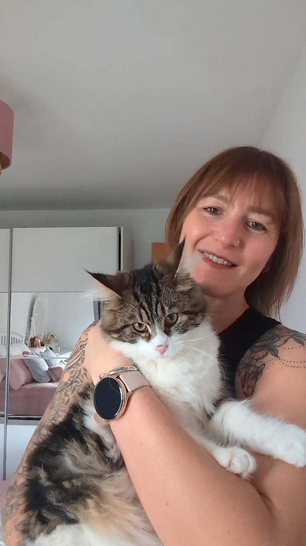 Lady Lilly Pink is registered to the contest to win money with this photo: carnivore, cat, claw, comfort, domestic_short_haired_cat, felidae, formal_wear, fur, gesture, hair, happy, lap, long_hair, nail, paw, sitting, small_to_medium_sized_cats, smile, watch, whiskers