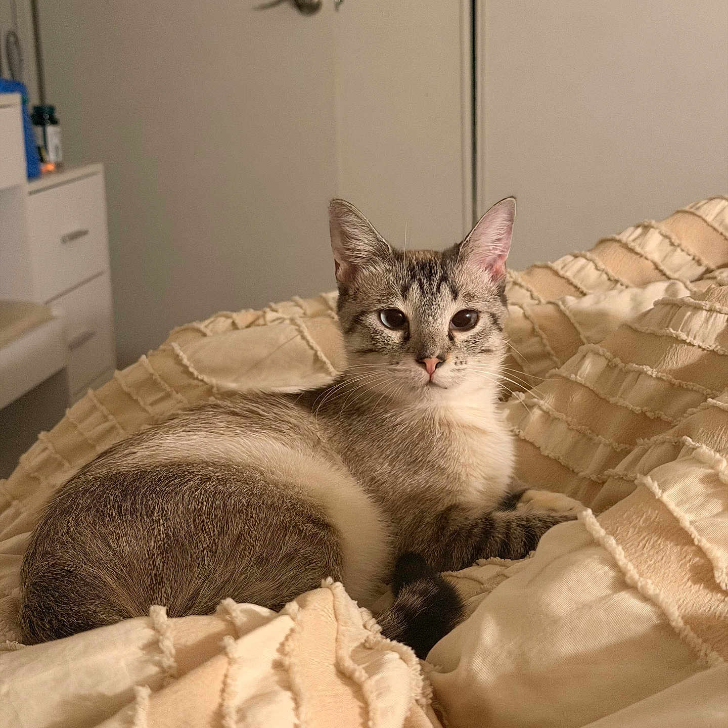 Ori