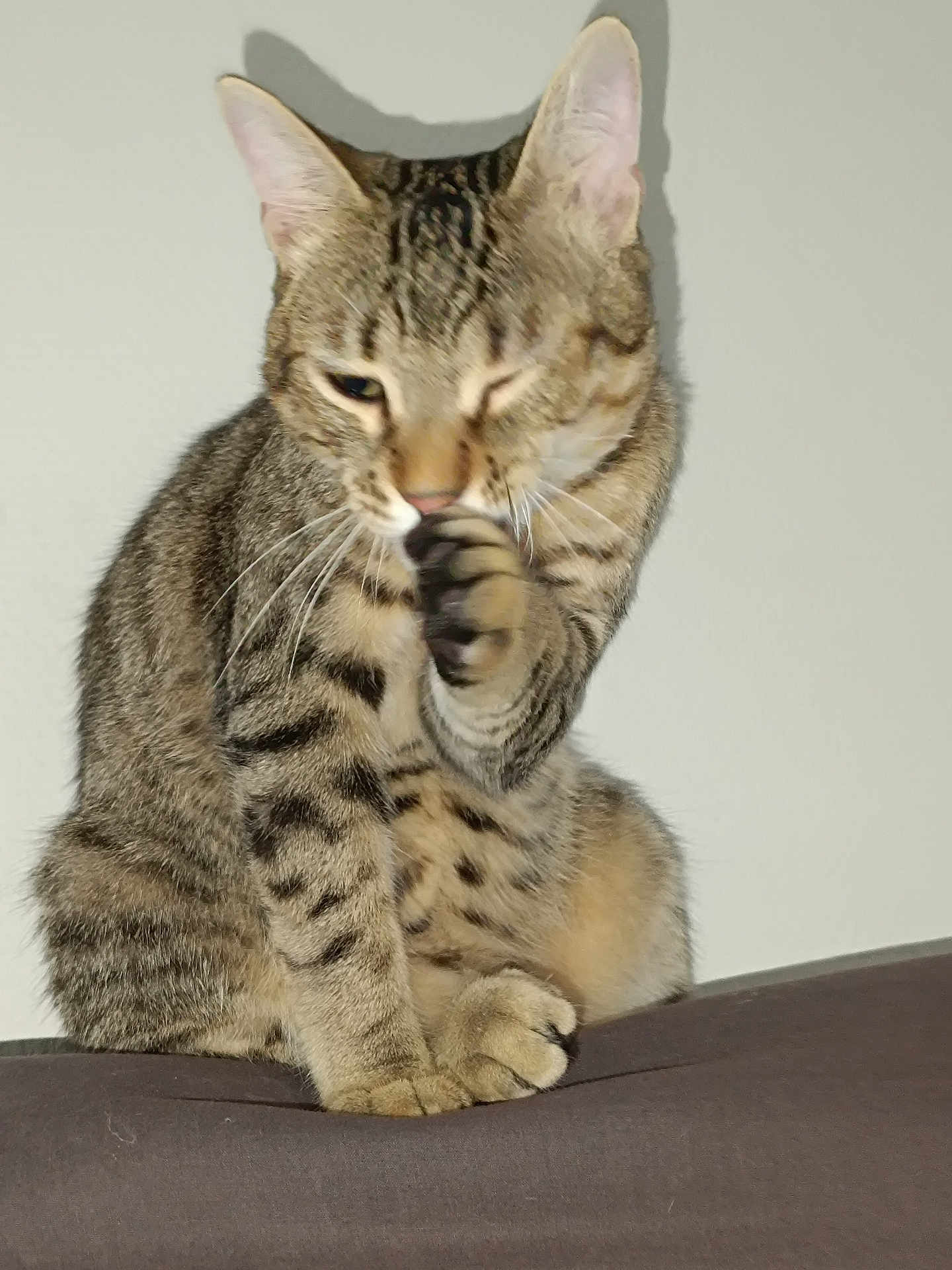 Nalo