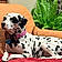 Lady Lucy