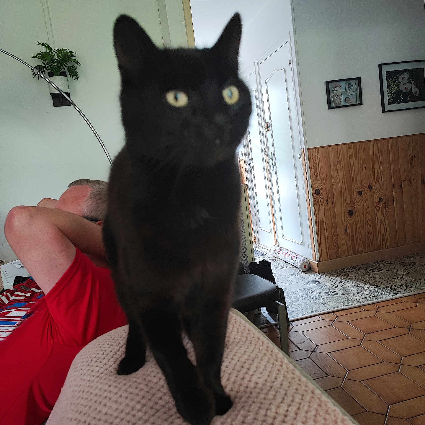 Oscar