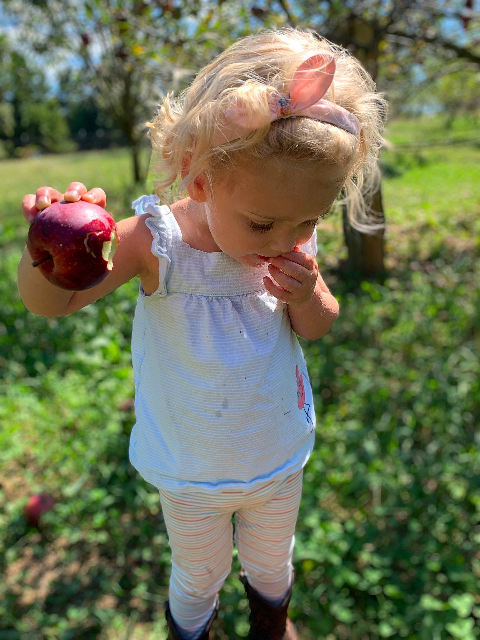 Carolina Reese joined the competition — help win amazing prizes! baby, baby_toddler_clothing, blond, child, fun, gesture, grass, grass_family, happy, leisure, meadow, people_in_nature, person, pink, plant, play, recreation, sleeve, sunlight, toddler