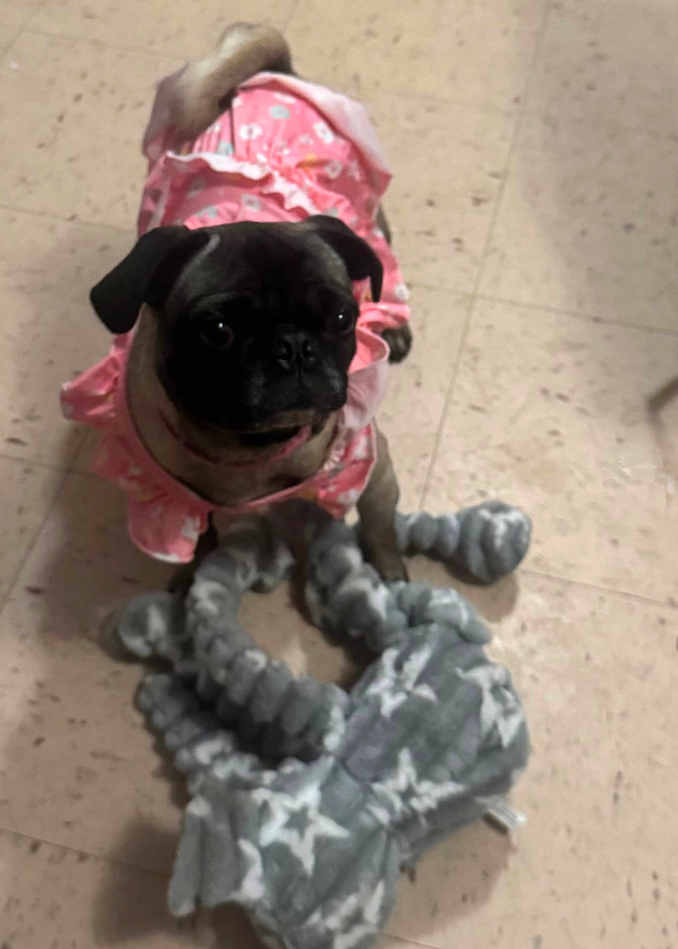 Muñeca