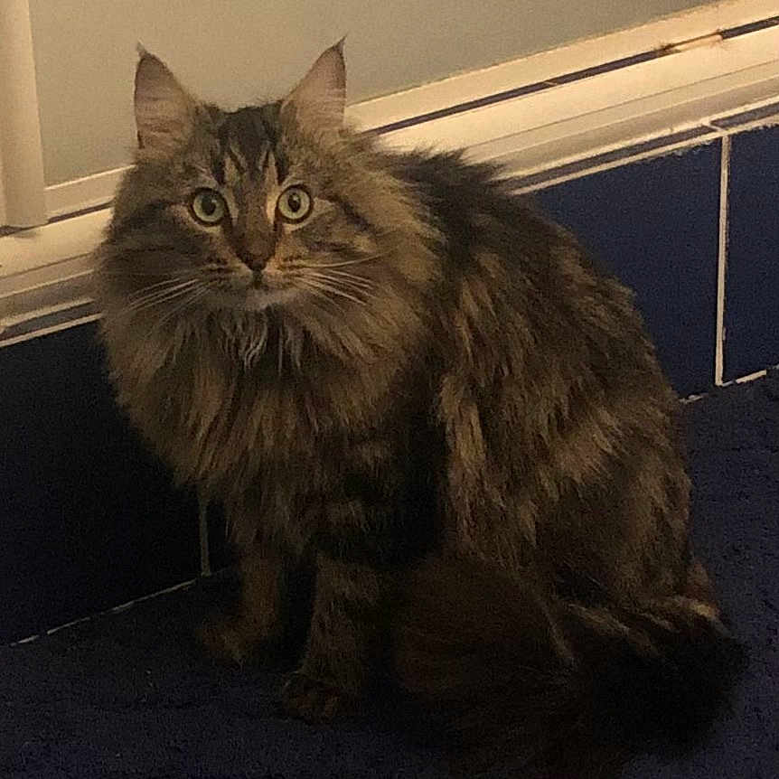 Hunter