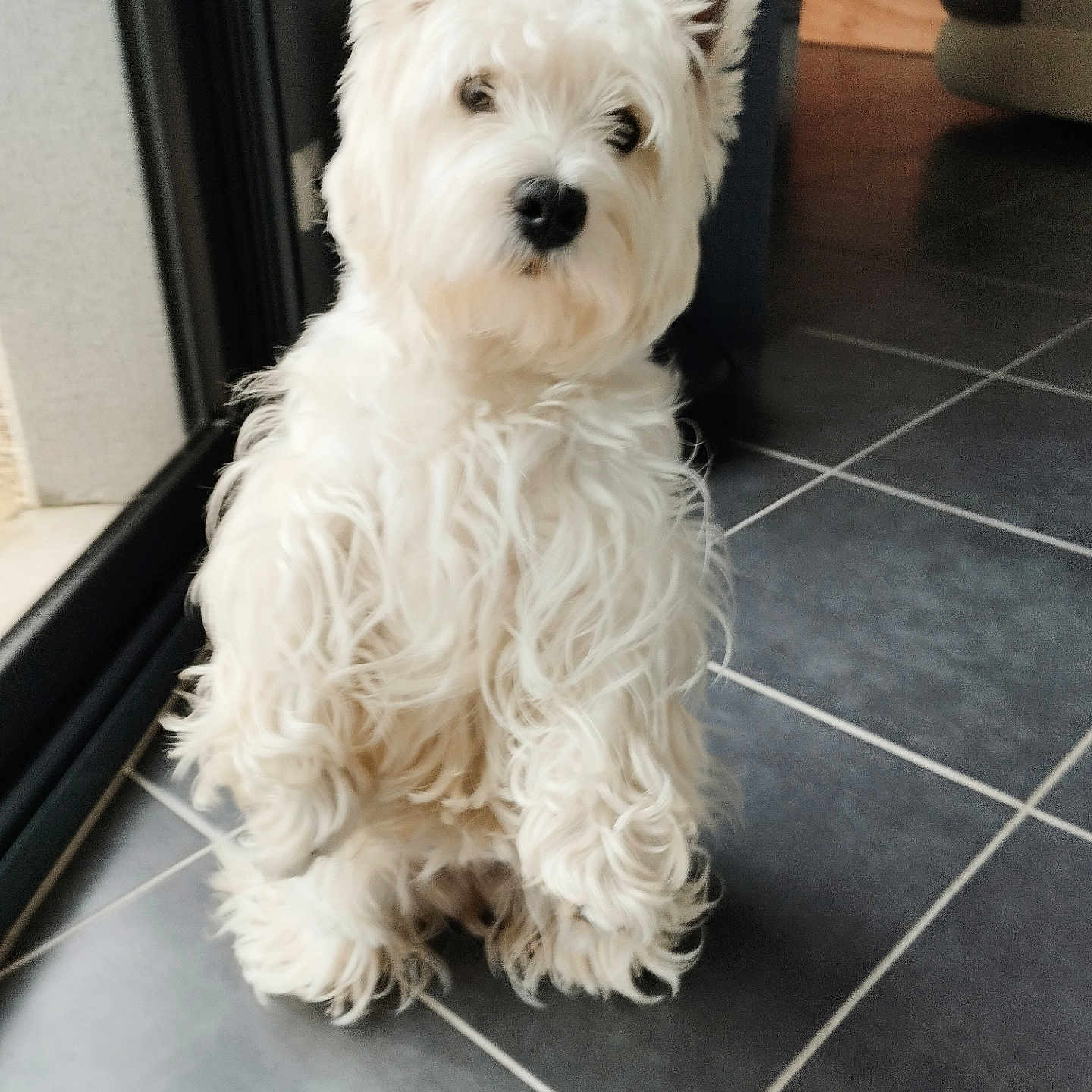Valya