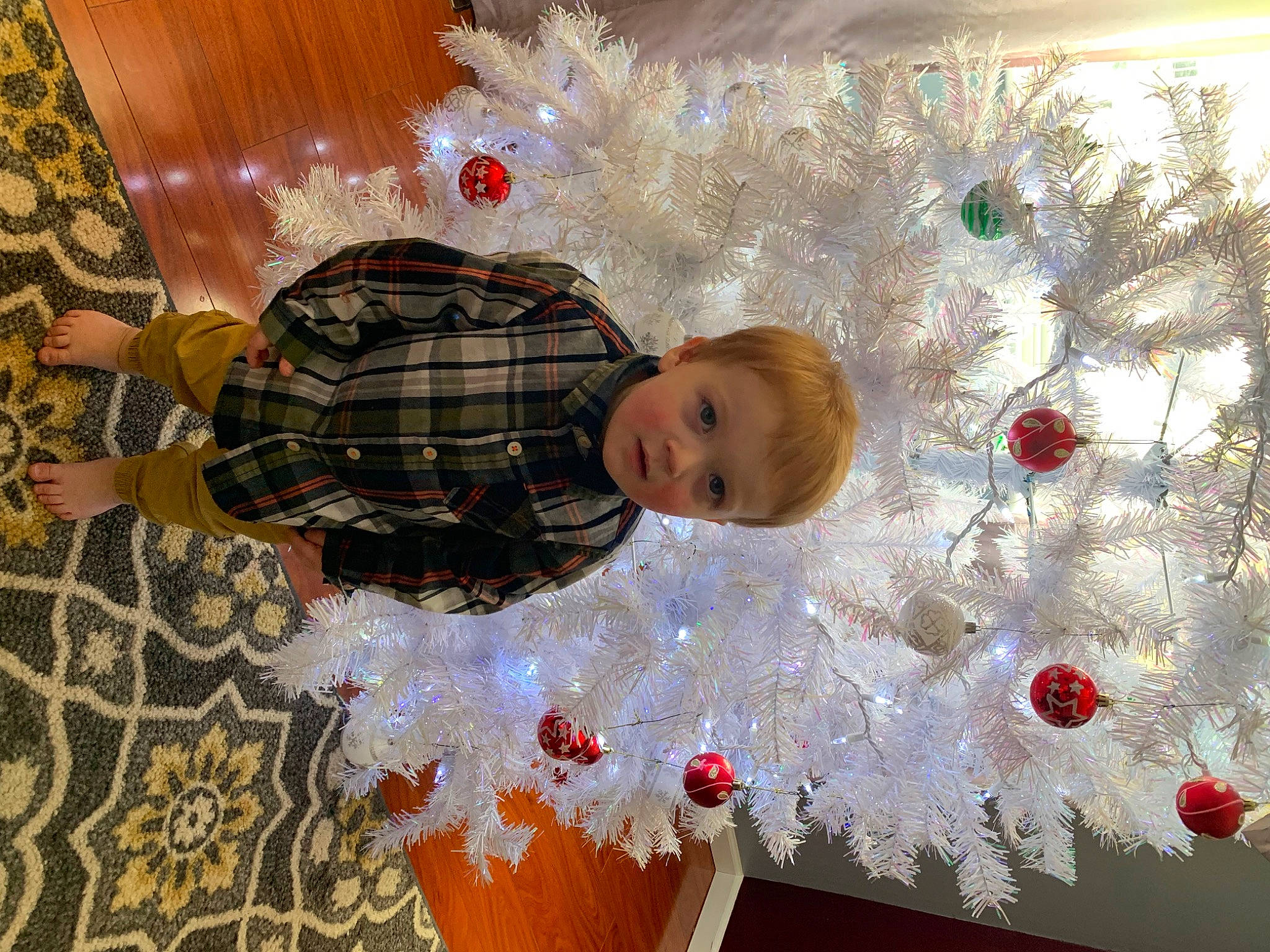 Mark is registered to the contest to win money with this photo: beauty, christmas, christmas_decoration, christmas_eve, christmas_ornament, christmas_tree, event, fun, happy, holiday, holiday_ornament, mammal, organ, ornament, person, plant, snapshot, textile, tree, window