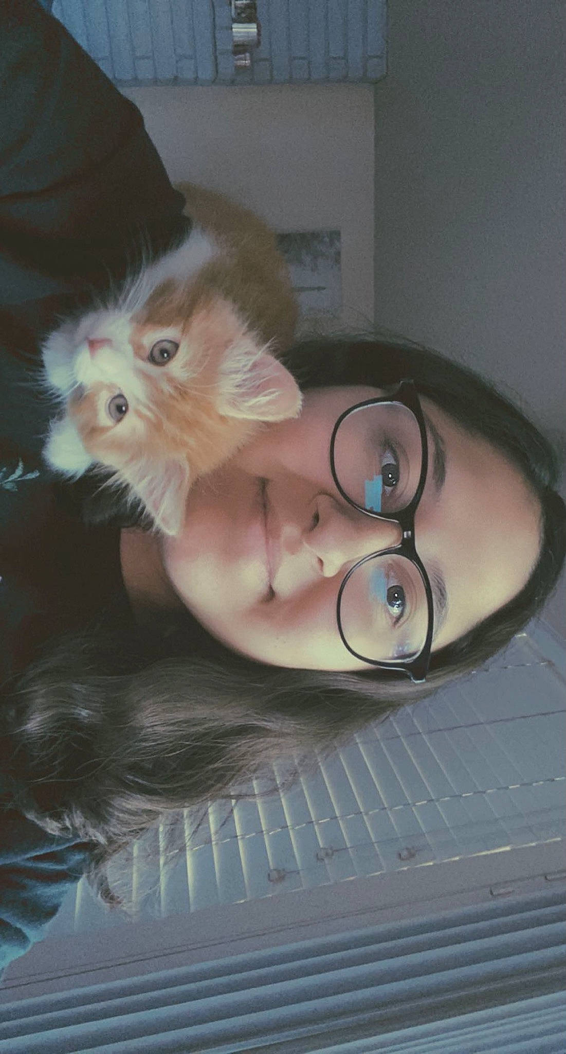 Miko joined the competition — help win amazing prizes! carnivore, chest, claw, companion_dog, dog_breed, dress, fawn, felidae, foot, fur, human_leg, paw, rodent, small_to_medium_sized_cats, snout, sporting_group, tail, toy, toy_dog, whiskers