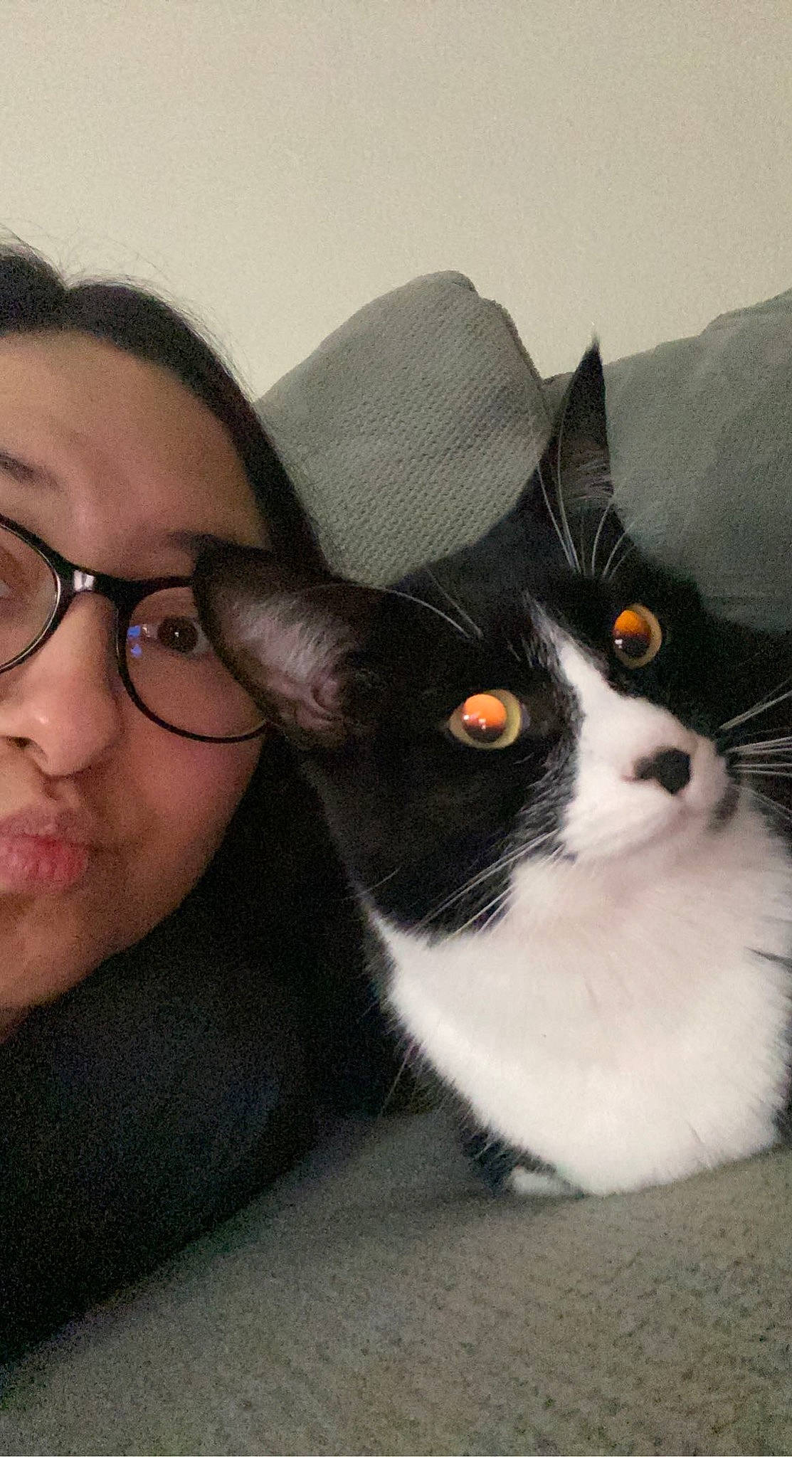 Kia joined the competition — help win amazing prizes! canidae, carnivore, companion_dog, dog_breed, domestic_short_haired_cat, ear, eyewear, felidae, formal_wear, fur, gesture, happy, selfie, sleeve, small_to_medium_sized_cats, snout, tail, vision_care, whiskers