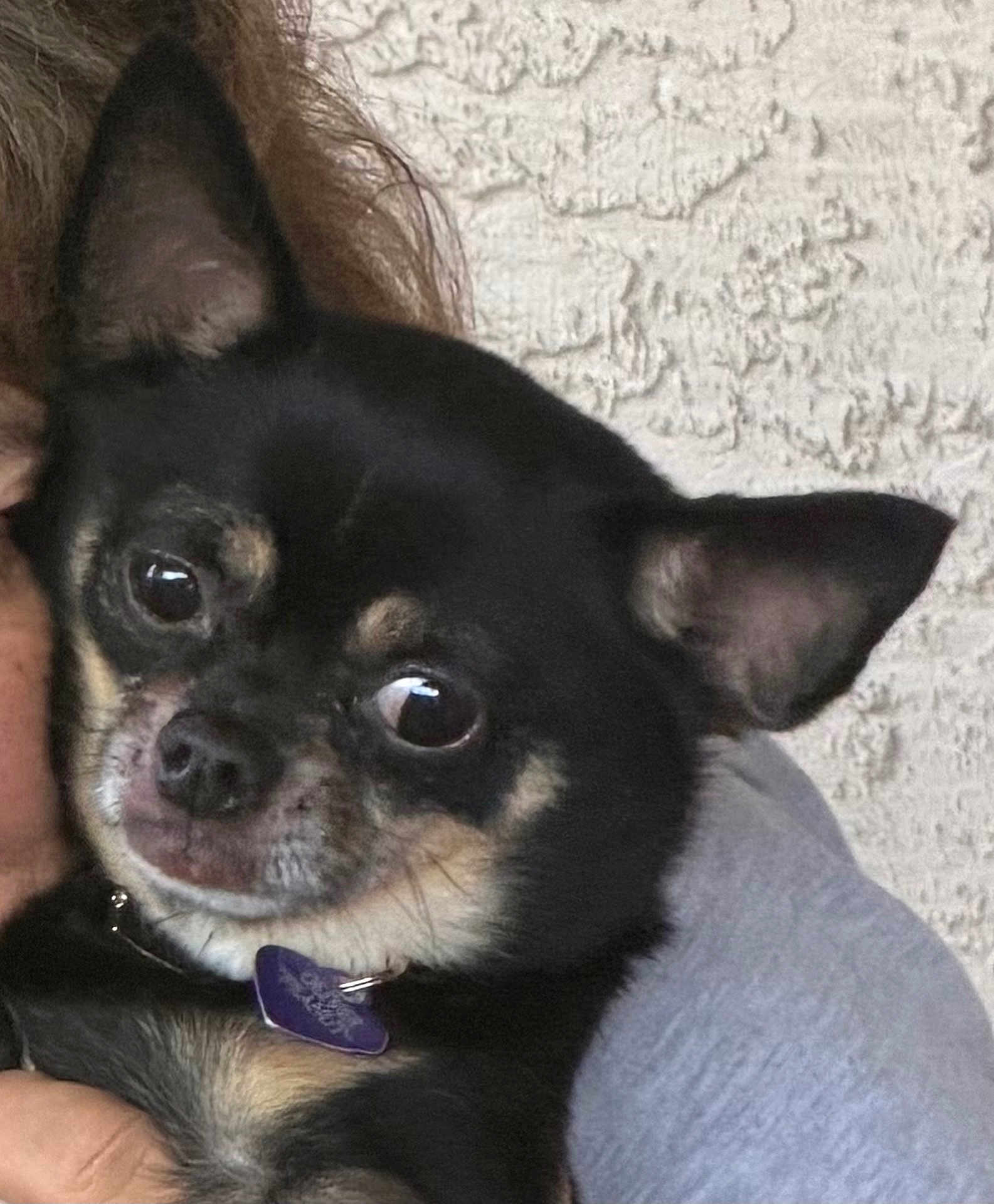 Oliver