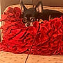 dog, chihuahua, small_dog, black_dog, tan_dog, red_pillow, fluffy_pillow, couch, indoor, pet, cozy, resting, looking_away, ears_up, furniture, home, cute, animal, companion, relaxed