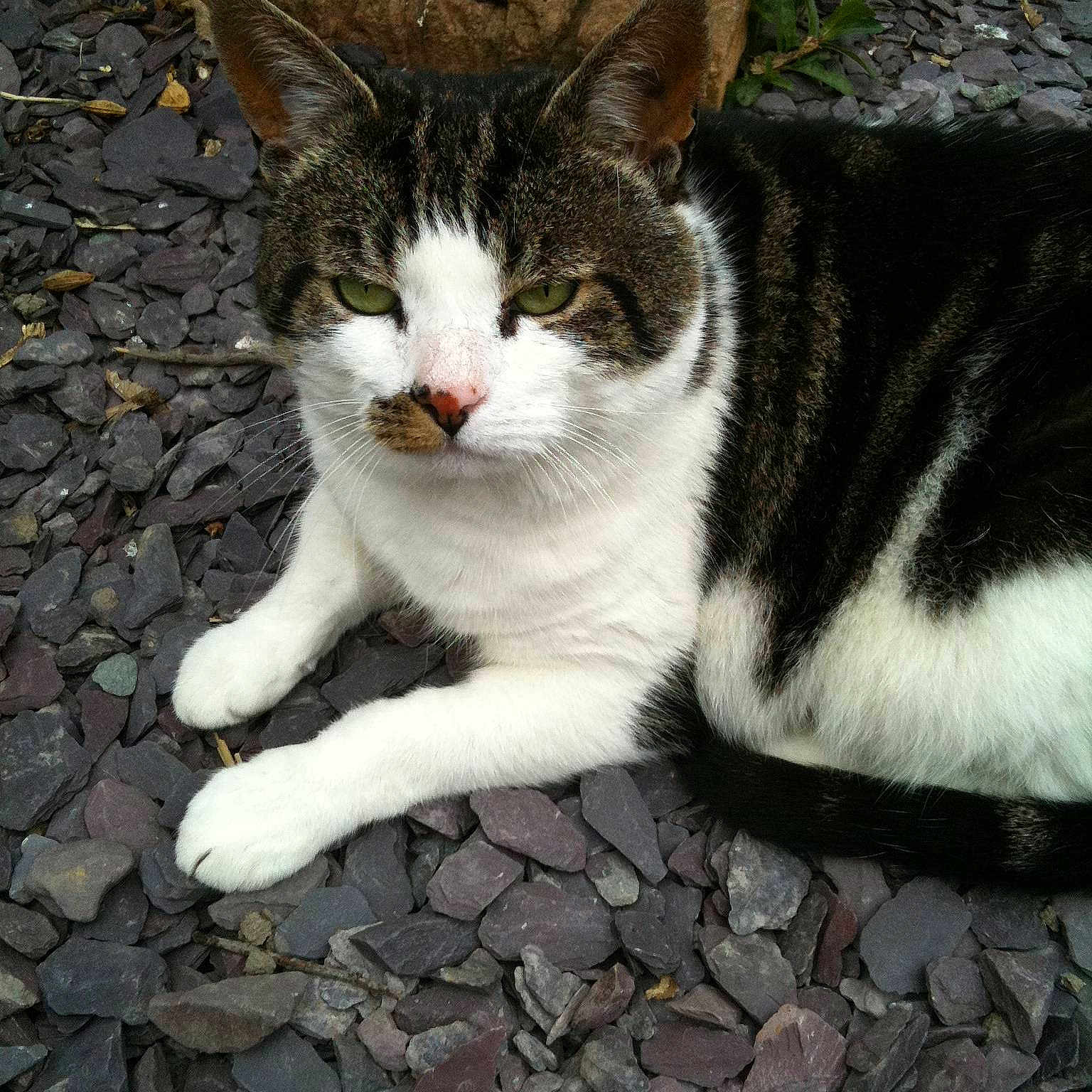 Monty is registered to the contest to win money with this photo: