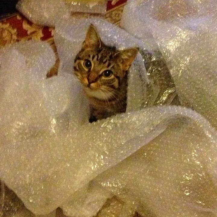 Dexter