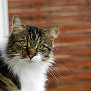 Mya participe au concours pour gagner de l'argent avec cette photo :