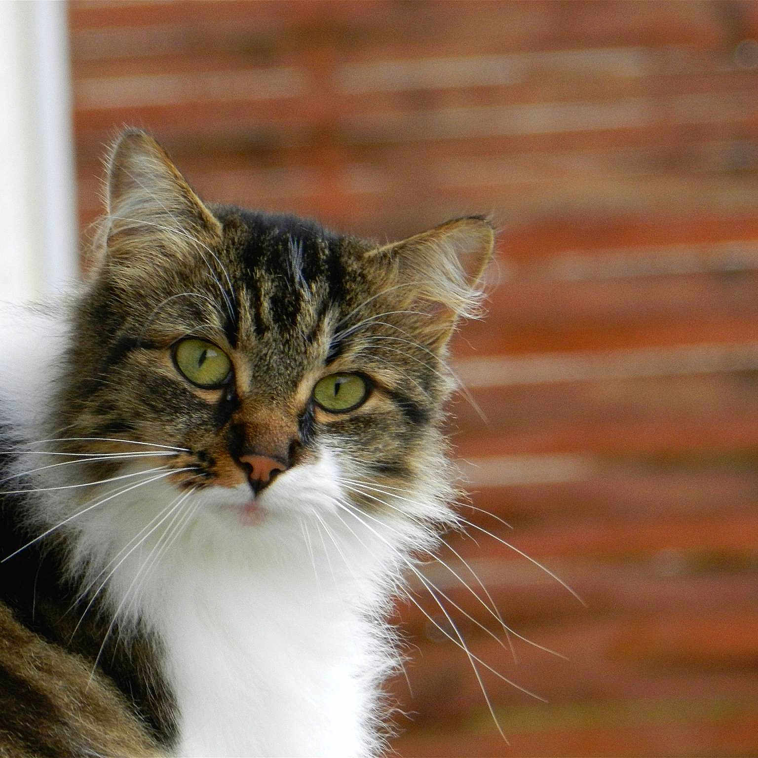 Mya participe au concours pour gagner de l'argent avec cette photo :