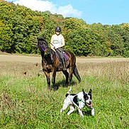 Chipie participe au concours pour gagner de l'argent avec cette photo :