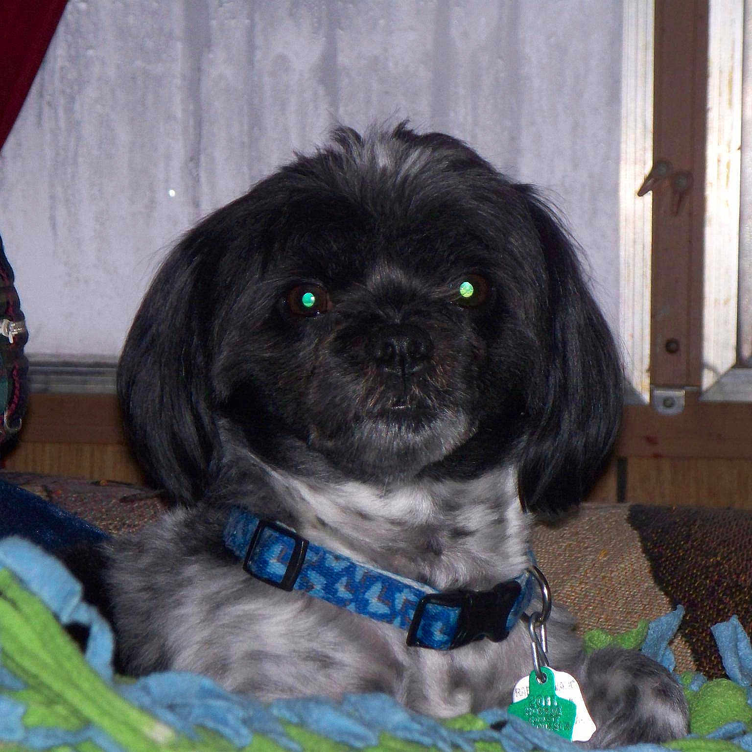 Cooper