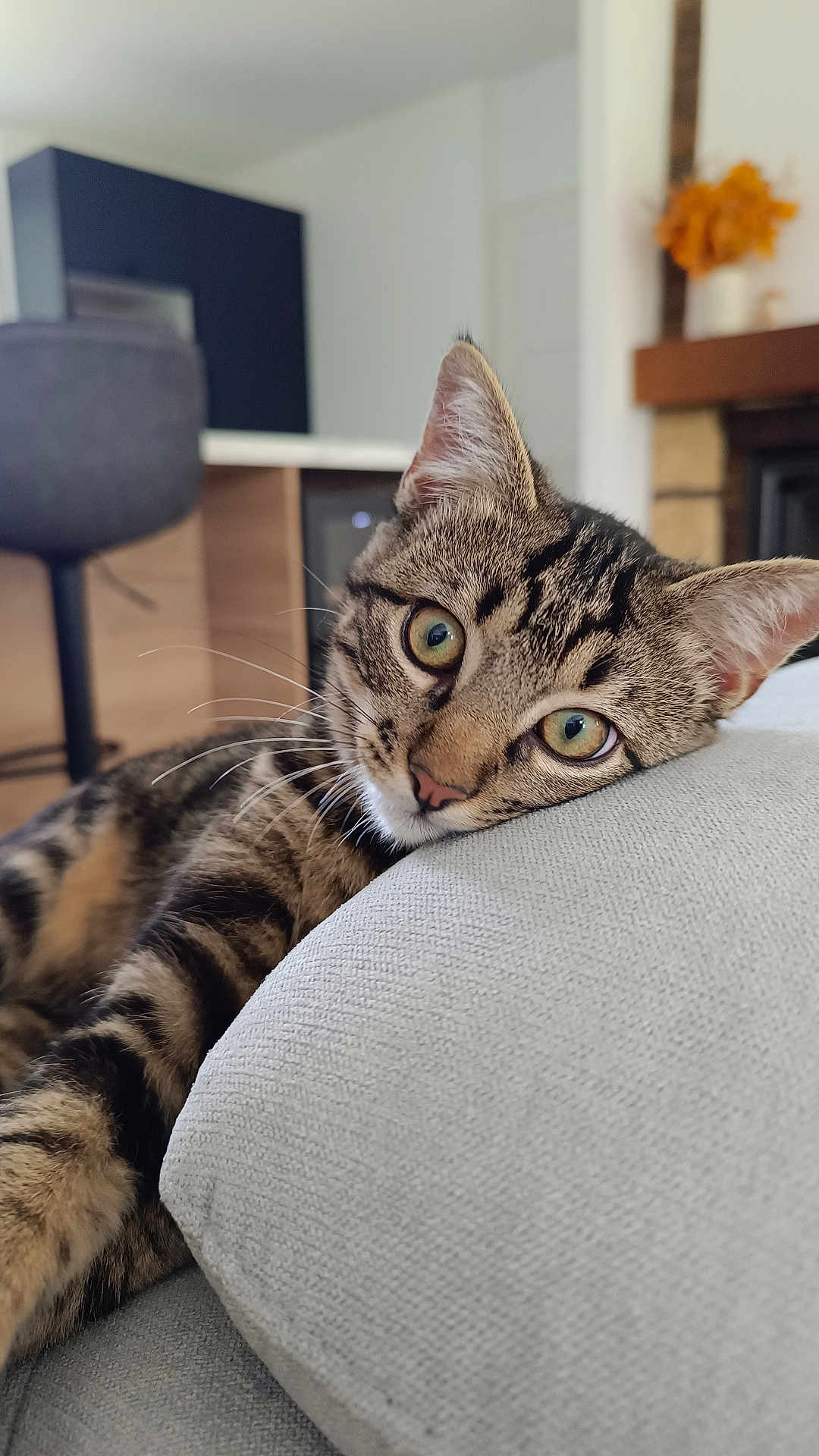 Alvin