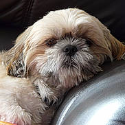 Diwan participe au concours pour gagner de l'argent avec cette photo :