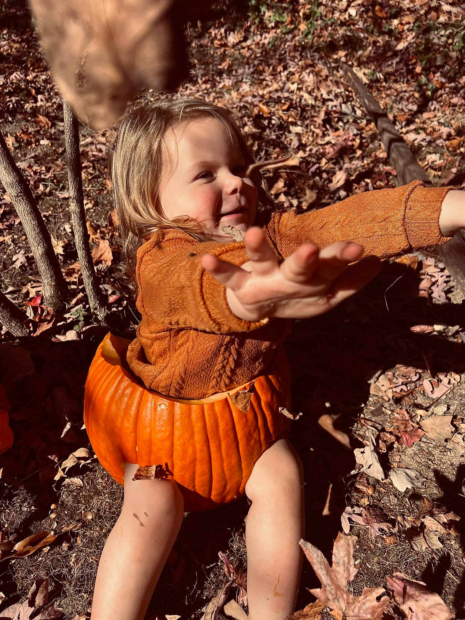 Armani joined the competition — help win amazing prizes! eye, fawn, fun, grass, hair, hand, happy, head, human_body, human_leg, iris, joy, leaf, long_hair, nature, people_in_nature, person, sunlight, thigh, toddler