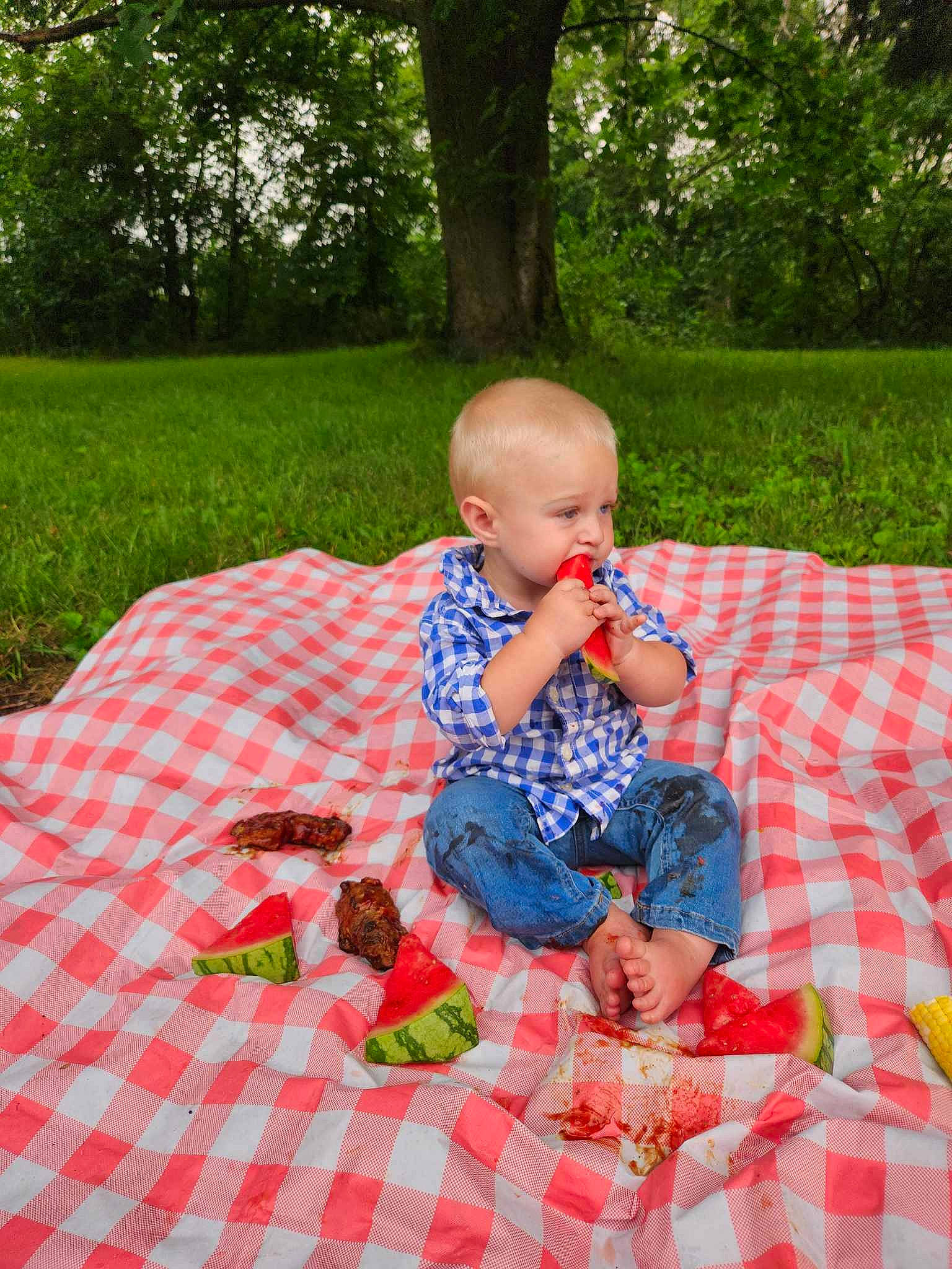 Lincoln joined the competition — help win amazing prizes! baby, baby_toddler_clothing, child, fun, garden, grass, leisure, linens, pattern, people_in_nature, person, plaid, plant, play, recreation, sitting, tartan, toddler, toy, tree
