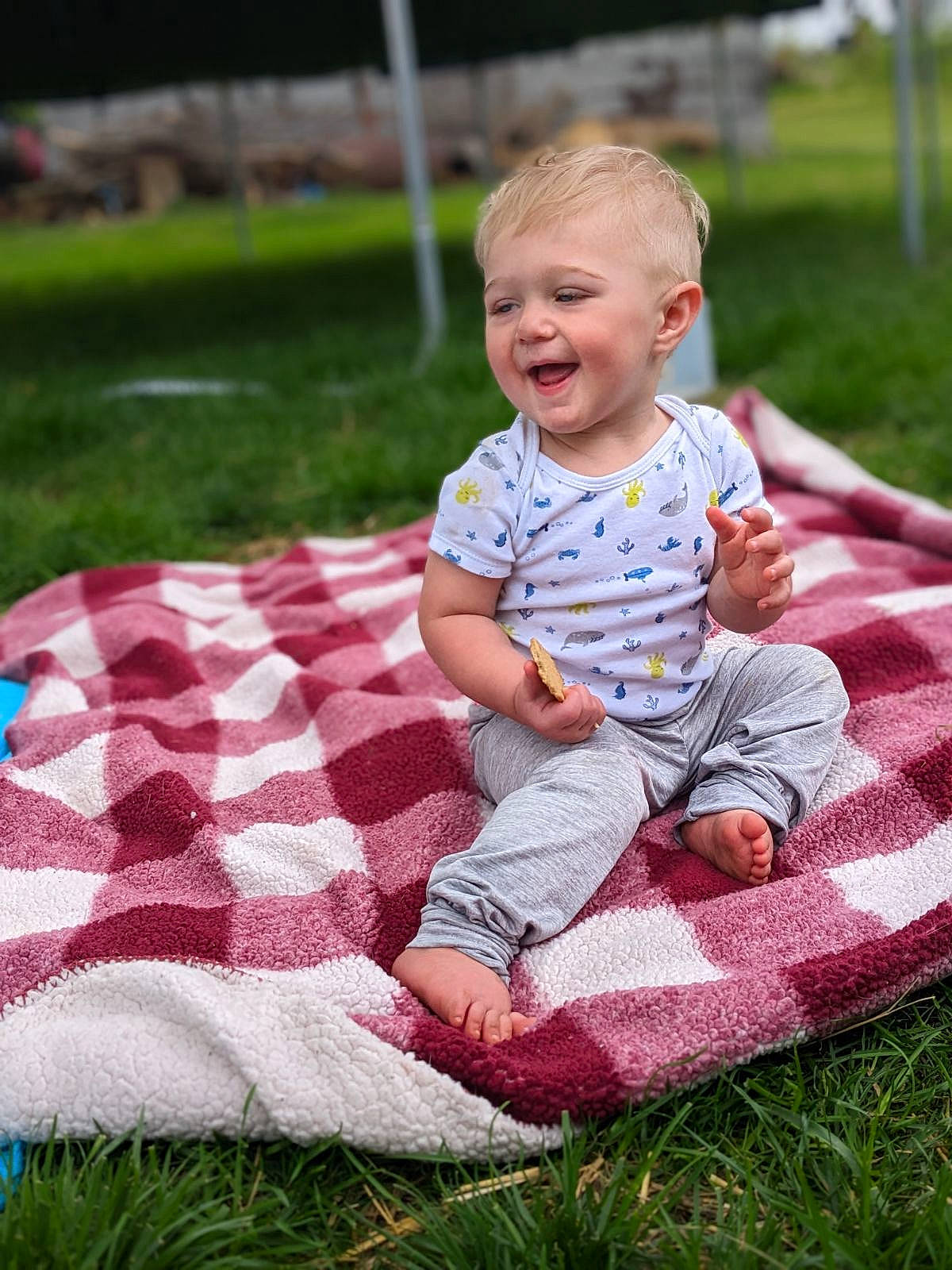Lincoln joined the competition — help win amazing prizes! baby, baby_toddler_clothing, face, facial_expression, fun, grass, happy, lawn, leisure, magenta, pattern, people_in_nature, person, pink, plant, recreation, sitting, sleeve, smile, t_shirt