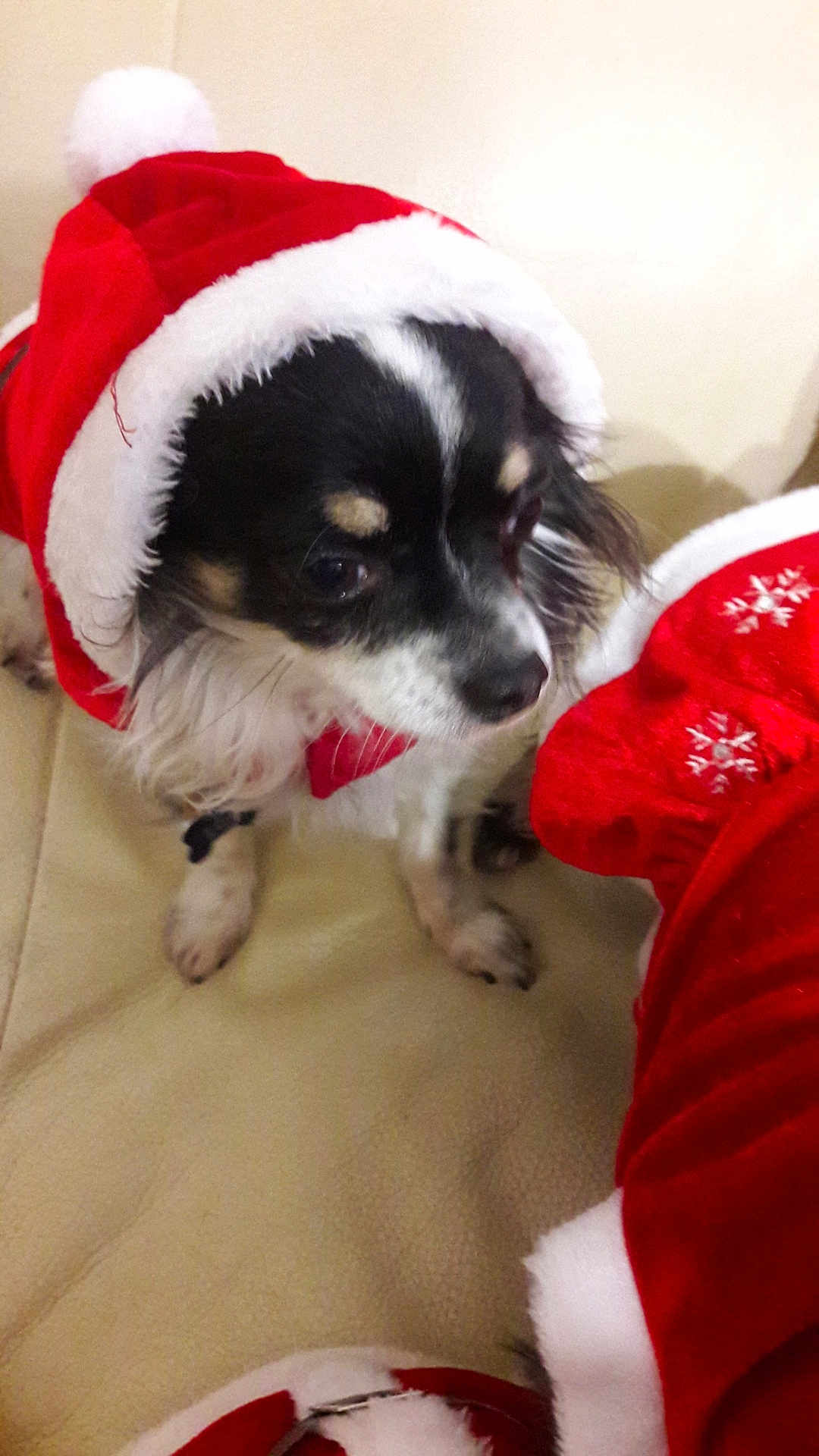 Lou