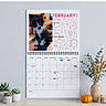 calendar, candle, cat, cute, decoration, desk, dried_flowers, february, indoor, kitten, month, pet, photo, potted_plant, pumpkin, schedule, succulent, table, vase, wall