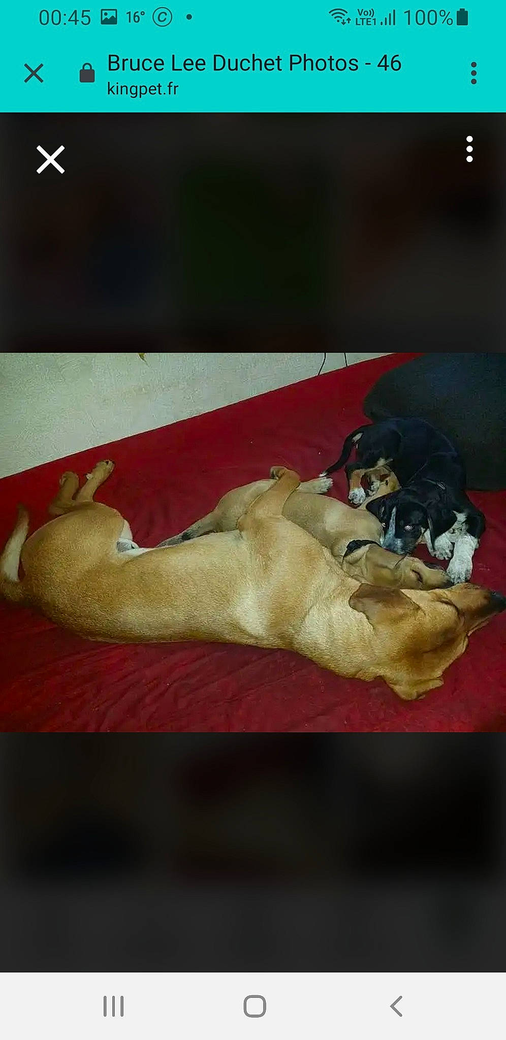 Kaïra participe au concours pour gagner de l'argent avec cette photo : abdomen, art, carmine, chest, comfort, flesh, font, gesture, human_leg, jaw, knee, linens, painting, paper, paper_product, screenshot, still_life, visual_arts, watercolor_paint, wrist