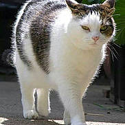 Tiggr is registered to the contest to win money with this photo: