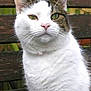 Tiggr is registered to the contest to win money with this photo: