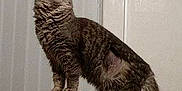 Narla is registered to the contest to win money with this photo: