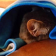 Narla joined the competition — help win amazing prizes!