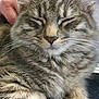Narla joined the competition — help win amazing prizes!