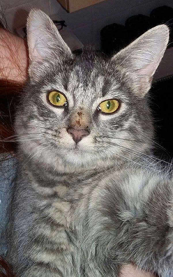 Narla