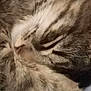 Narla is registered to the contest to win money with this photo: