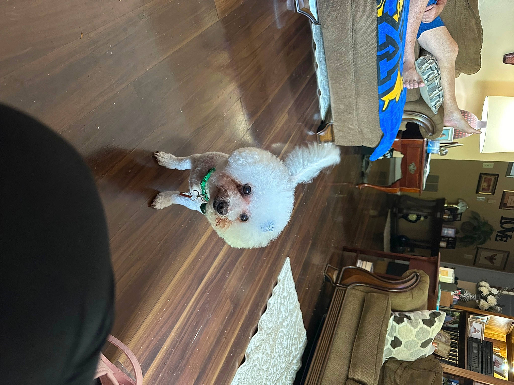 Sophie is registered to the contest to win money with this photo: audio_equipment, electrical_wiring, engineering, flooring, hardwood, laminate_flooring, machine, plywood, room, wood, wood_flooring, wood_stain