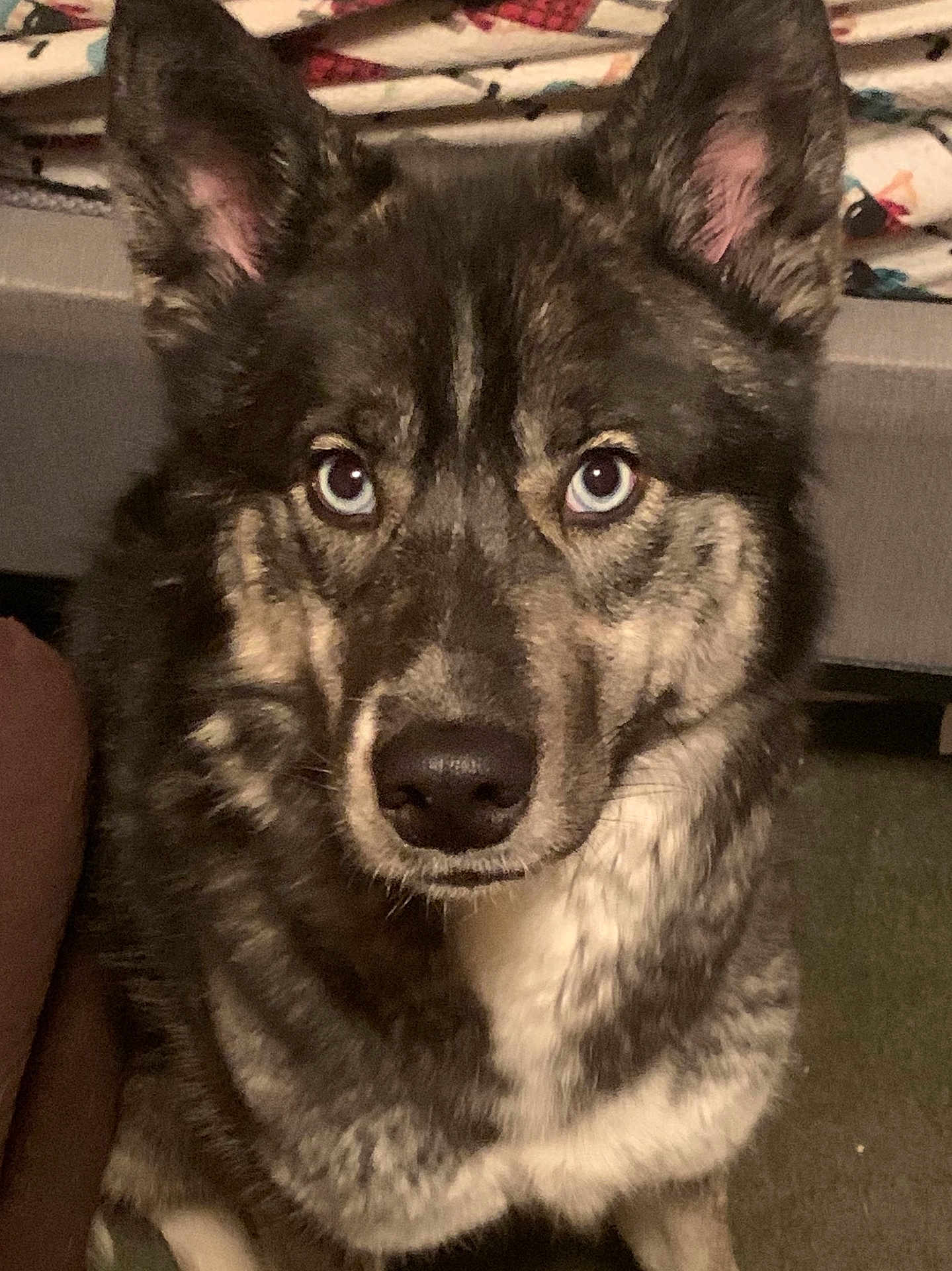 Freya