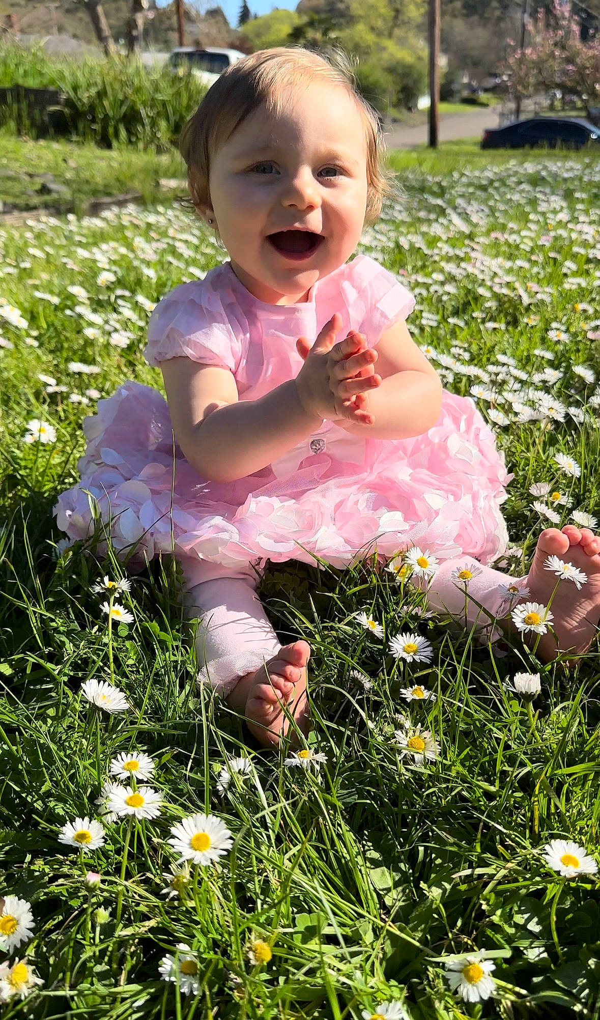 Adalynn is registered to the contest to win money with this photo: baby, baby_toddler_clothing, child, flower, grass, grass_family, grassland, green, groundcover, happy, leaf, meadow, people_in_nature, person, petal, photograph, plant, smile, summer, sunlight