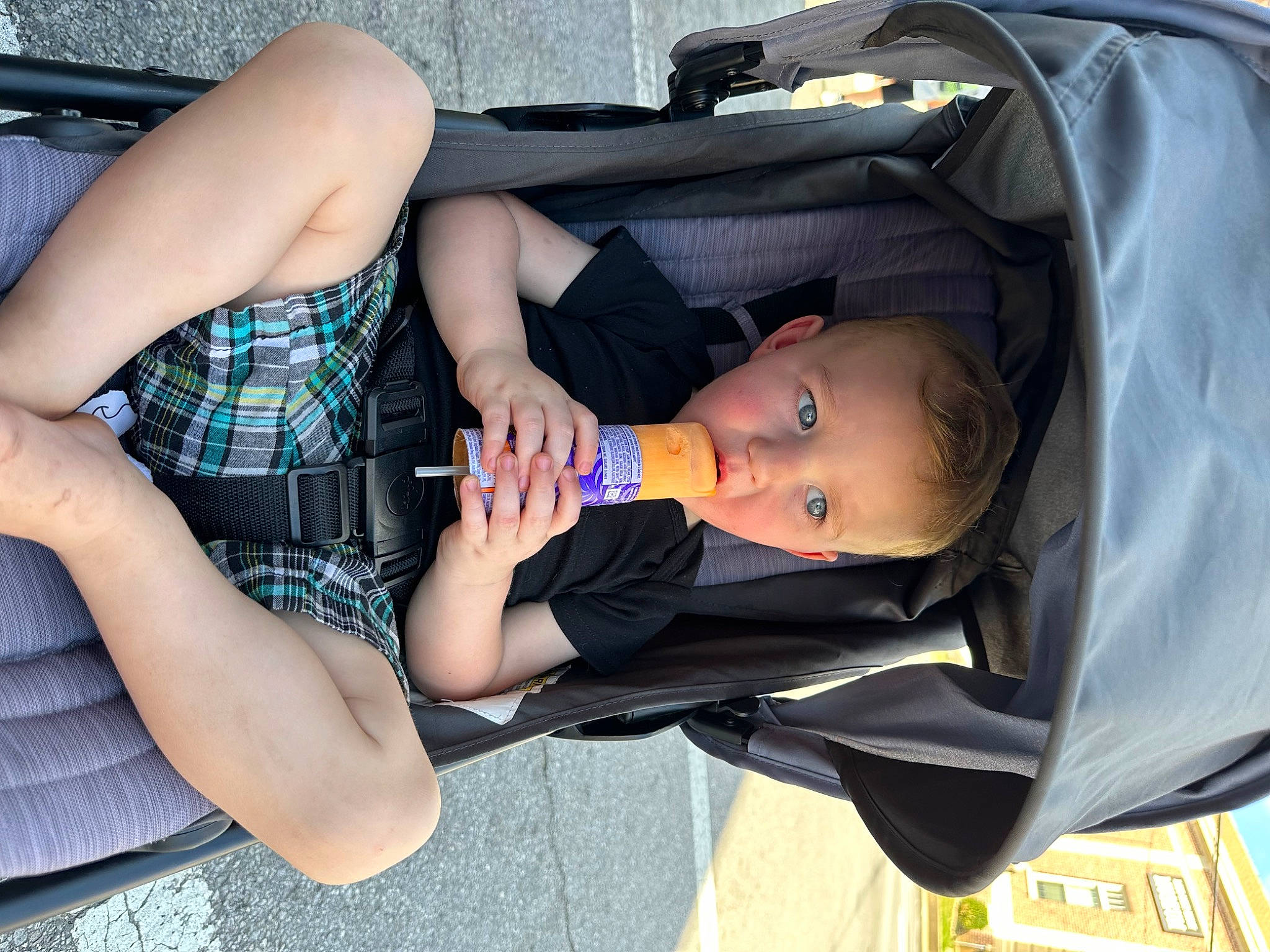 Daxton joined the competition — help win amazing prizes! baby, baby_products, chest, child, comfort, elbow, eyewear, fun, human_leg, leg, nail, pattern, person, plaid, sitting, tartan, thigh, toddler, tree, trunk