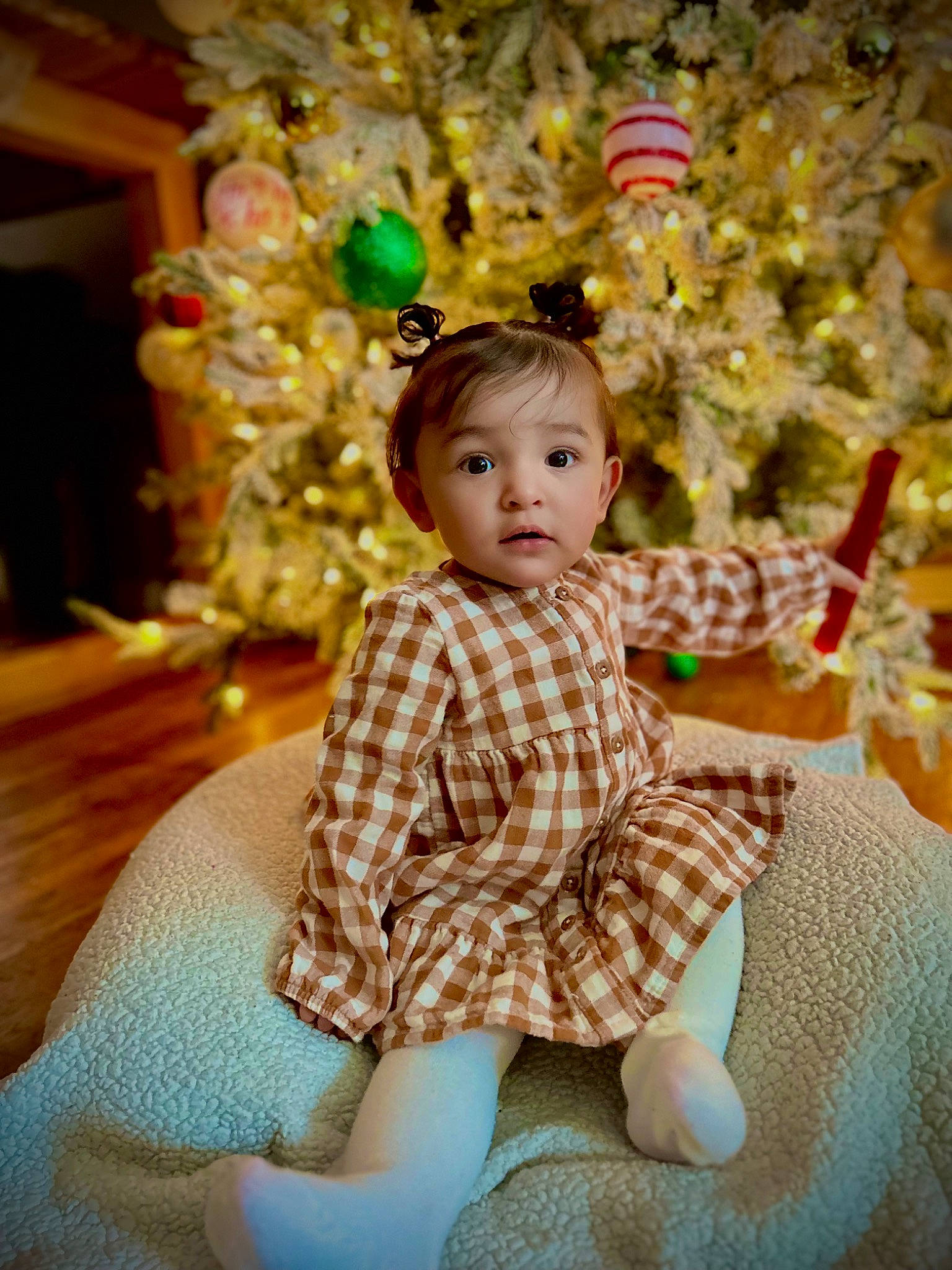 Sofia is registered to the contest to win money with this photo: baby, baby_toddler_clothing, child, doll, dress, event, fawn, flooring, happy, head, ornament, pattern, person, plant, sitting, sleeve, sock, toddler, toy, tree
