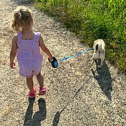 Shelsy participe au concours pour gagner de l'argent avec cette photo : back_view, child, dog, field, grass, greenery, leash, nature, outdoor, path, pet, retractable_leash, romper, sandals, shadow, small_dog, summer, sunlight, toddler, walking