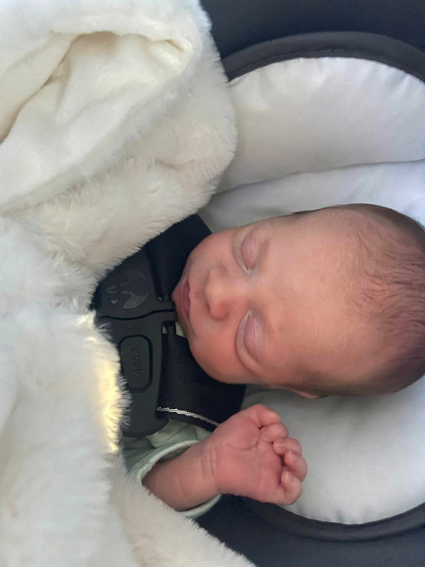 Grayson is registered to the contest to win money with this photo: baby, sleeping, blanket, car_seat, child, infant, face, hand, cushion, soft, cute, peaceful, newborn, closed_eyes, fur, comfort, rest, safety_belt, portrait, indoors