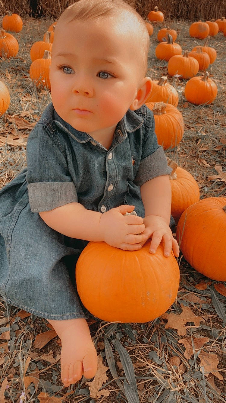 Stori joined the competition — help win amazing prizes! calabaza, cucurbita, eye, face, facial_expression, gourd, green, happy, head, human_body, natural_foods, orange, organ, people, people_in_nature, person, photograph, plant, pumpkin, squash